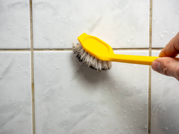 Best Same-Day Mold Removal  in Greer, SC