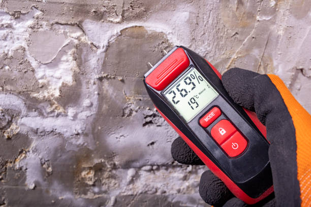 Best Professional Mold Removal  in Greer, SC